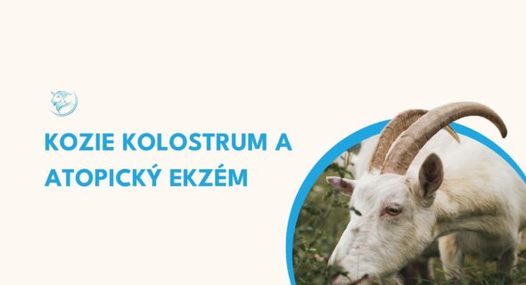 Atopický ekzém a kozie kolostrum